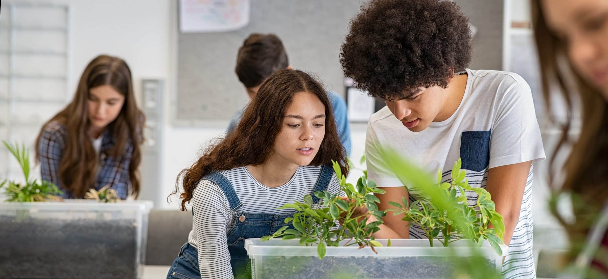 Comité de parents des écoles de Montréal